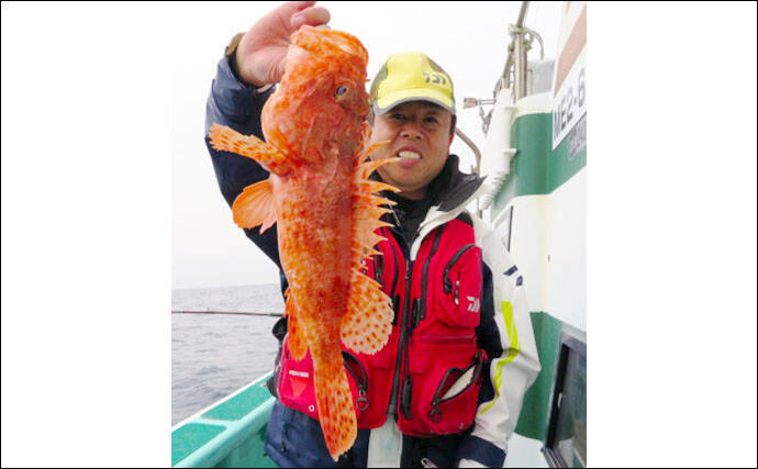 三重 船釣り最新釣果 春の大型アオリイカ狙いエギング好調 年4月12日 エキサイトニュース