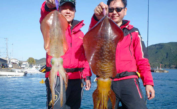 三重 船釣り最新釣果 春の大型アオリイカ狙いエギング好調 年4月12日 エキサイトニュース