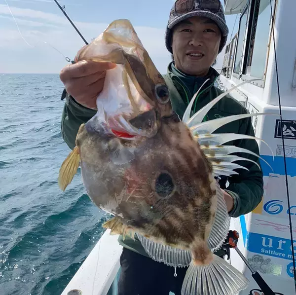 「近海ビッグゲーム豪快　イワシ泳がせで8kg超ホウキハタにクエ【魚勘丸】」の画像