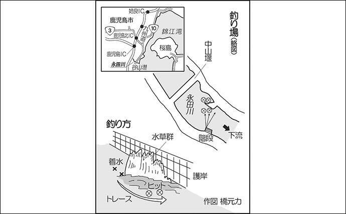 デイナマ ゲームで冬眠明けの40cmナマズをキャッチ 鹿児島 年4月11日 エキサイトニュース