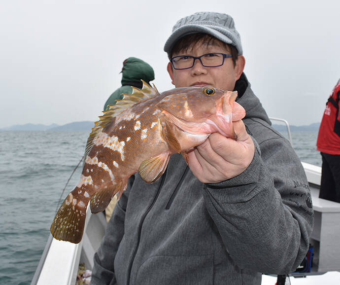 根魚リレー船で納竿直後にドラマ 50cmアコウにメバル入れ食い 秀丸 年4月16日 エキサイトニュース