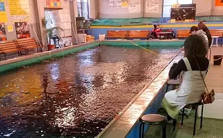 室内釣り堀で鯉 金魚キャッチ 楽しみながら釣りのスキルアップにも 21年11月24日 エキサイトニュース 室内釣り堀で鯉 金魚キャッチ 楽しみながら釣りのスキルアップにも 21年11月24日 エキサイトニュース