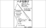 「春の陸っぱり夜釣り堪能　ウキ釣りで86cmスズキに前打ちでアオハタ」の画像5