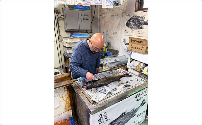 春の陸っぱり夜釣り堪能　ウキ釣りで86cmスズキに前打ちでアオハタ