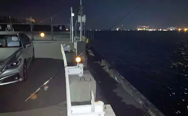 「春の陸っぱり夜釣り堪能　ウキ釣りで86cmスズキに前打ちでアオハタ」の画像