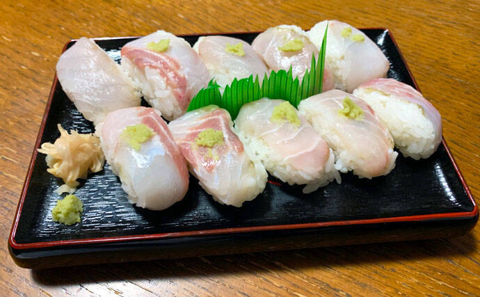 春の陸っぱり夜釣り堪能　ウキ釣りで86cmスズキに前打ちでアオハタ
