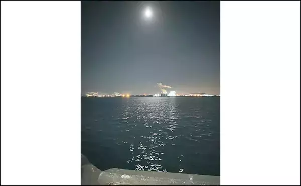 「春の陸っぱり夜釣り堪能　ウキ釣りで86cmスズキに前打ちでアオハタ」の画像