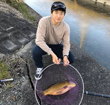 「激スレ鯉を『パンコイ』で攻略する方法6選　タイミングと場所選びが重要」の画像3