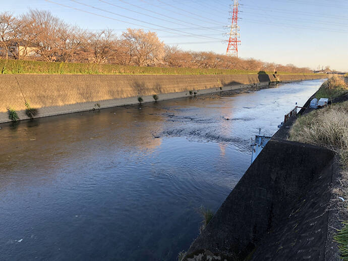 激スレ鯉を『パンコイ』で攻略する方法6選　タイミングと場所選びが重要