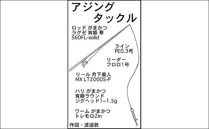 アジを狙ってあの手この手 数はサビキで型はアジング 吉津港 年4月15日 エキサイトニュース