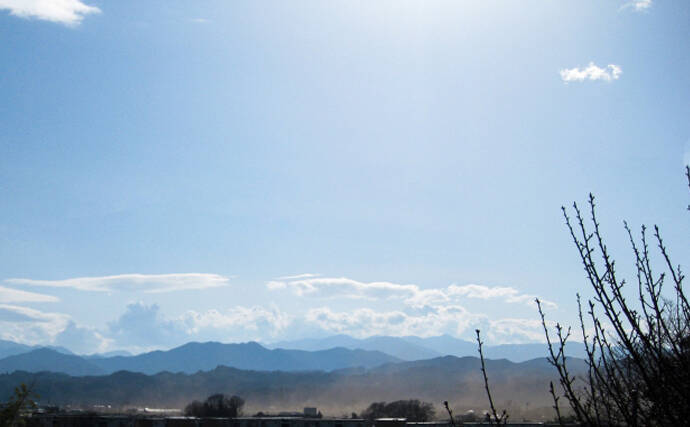 国際的な嫌われ者『黄砂』が海のサカナを育てる不思議　温暖化対策にも？