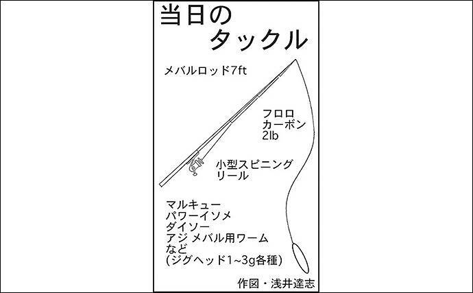 百均ワーム のライトロックゲームでメバル連釣 名古屋港 年4月18日 エキサイトニュース