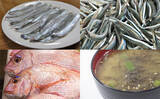 「【西日本編】4月に旬を迎える海の幸4選　春のキビナゴは天ぷらで食す」の画像1