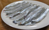 「【西日本編】4月に旬を迎える海の幸4選　春のキビナゴは天ぷらで食す」の画像4