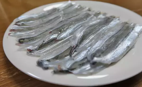 「【西日本編】4月に旬を迎える海の幸4選　春のキビナゴは天ぷらで食す」の画像