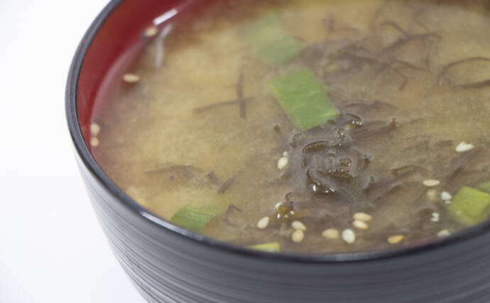 【西日本編】4月に旬を迎える海の幸4選　春のキビナゴは天ぷらで食す