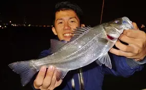 魚のかたちのしょうゆ入れ がオシャレ照明に あまりにも そのまんま すぎて飾った光景がシュールです 年4月19日 エキサイトニュース