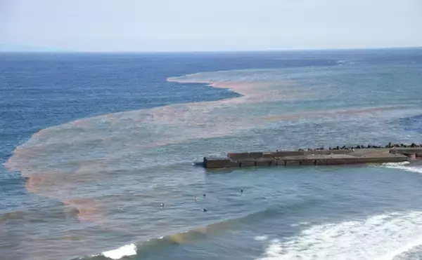 「潮干狩りの前に必ずチェック　恐ろしい「貝毒」と対策について解説」の画像