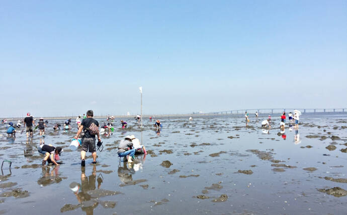 潮干狩りの前に必ずチェック　恐ろしい「貝毒」と対策について解説