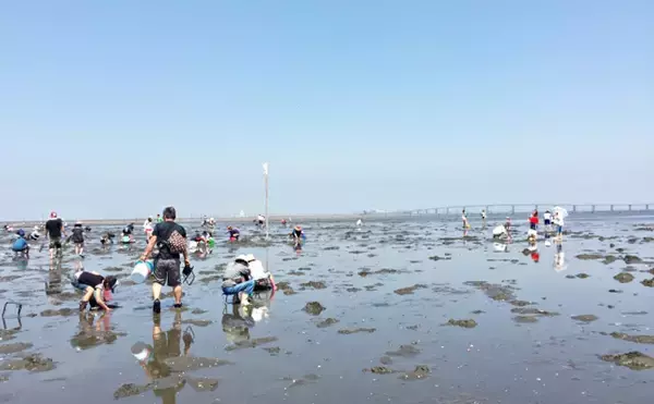 「潮干狩りの前に必ずチェック　恐ろしい「貝毒」と対策について解説」の画像