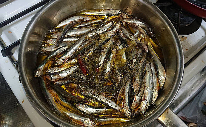 釣果レシピ オイルサーディン あっという間に手軽な保存食が完成 年4月27日 エキサイトニュース