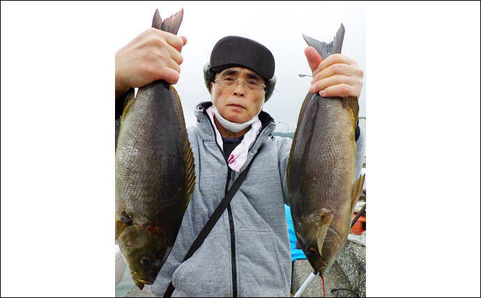 大分 熊本 船釣り最新釣果 良型の関アジにメバル数釣りに注目 年4月23日 エキサイトニュース