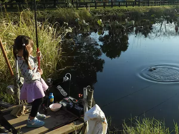 「身近な河川で気軽に入門　4,000円以下で購入できる『淡水エサ釣り』竿」の画像