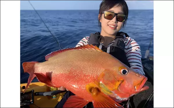 「マングローブ林で南国情緒あふれるカヤックフィッシングを満喫【西表島】」の画像