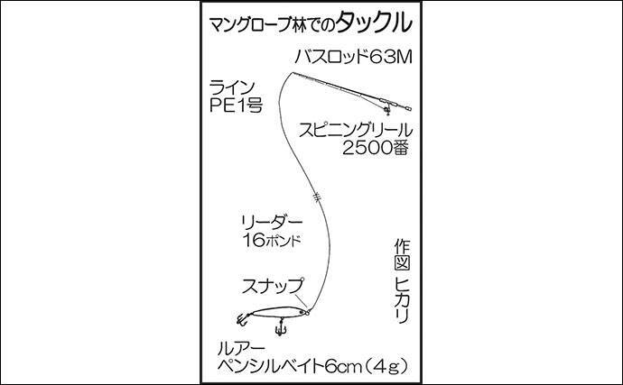 マングローブ林で南国情緒あふれるカヤックフィッシングを満喫【西表島】