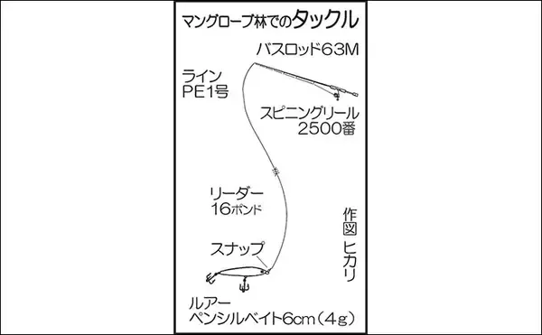 「マングローブ林で南国情緒あふれるカヤックフィッシングを満喫【西表島】」の画像
