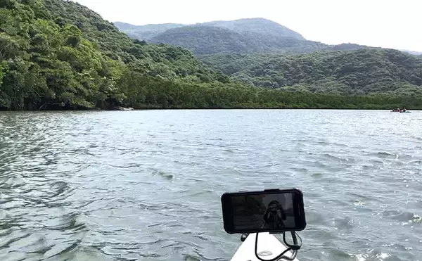 「マングローブ林で南国情緒あふれるカヤックフィッシングを満喫【西表島】」の画像