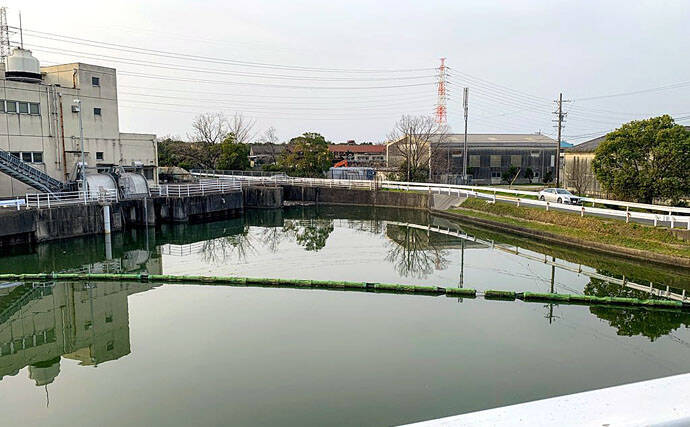 ブッコミ釣りで天然ウナギ手中　「ウナギ道」にアタリ集中？【愛知】