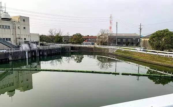 「ブッコミ釣りで天然ウナギ手中　「ウナギ道」にアタリ集中？【愛知】」の画像