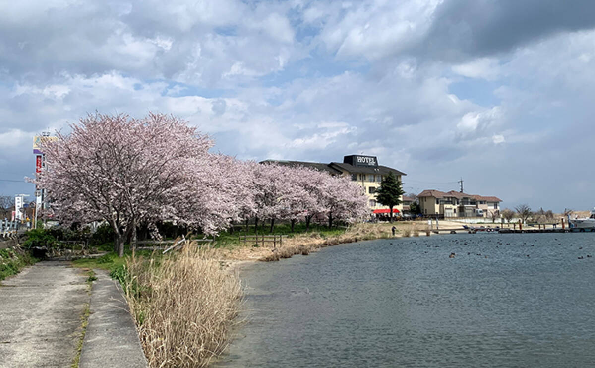 琵琶湖の釣り場 今昔物語 湖南 西岸編 豊かな自然そのままに 年5月7日 エキサイトニュース 2 3