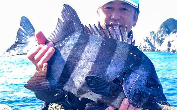 磯での底物釣りで本命イシダイ3kg級を手中 鹿児島 上甑島 2020年5月5日 エキサイトニュース
