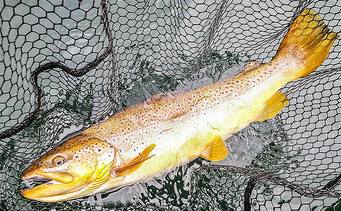 ボートフライフィッシング3days釣行で大型トラウト続々【芦ノ湖】