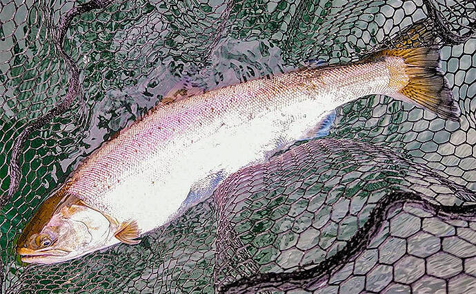 ボートフライフィッシング3days釣行で大型トラウト続々【芦ノ湖】