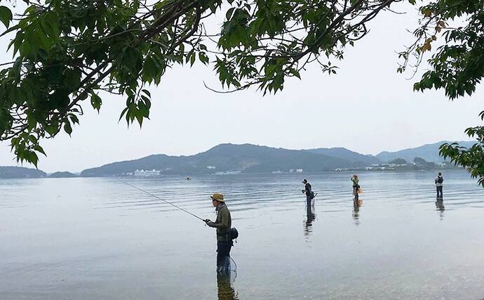 浜名湖初夏 トップゲームのススメ ベイトの有無 水温がキモ 年5月4日 エキサイトニュース