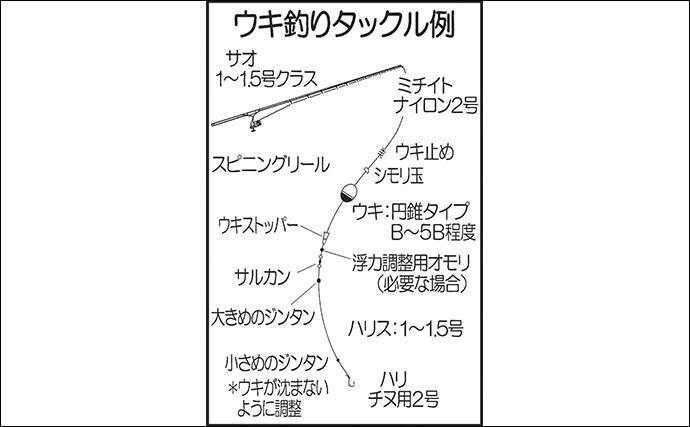 九州初夏 波止での サビキ ウキ 釣り入門 お手軽 簡単 年5月8日 エキサイトニュース 2 2