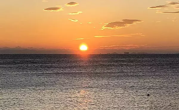 「ライトショアジギングで魚が釣れない4つの理由（ルアー選択ミス以外）」の画像