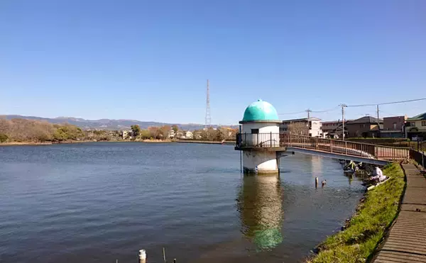 「ヘラブナ釣り回想記：静岡県　高いヘラ熱に充実した野釣り場が魅力」の画像