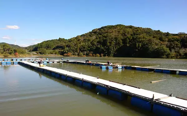 「ヘラブナ釣り回想記：静岡県　高いヘラ熱に充実した野釣り場が魅力」の画像