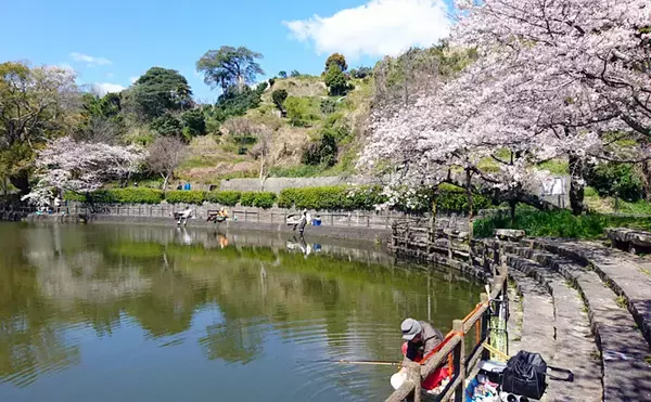 「ヘラブナ釣り回想記：静岡県　高いヘラ熱に充実した野釣り場が魅力」の画像