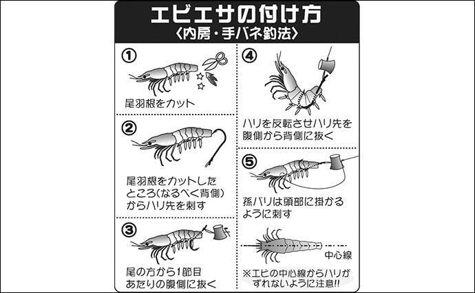 手バネを使った シャクリマダイ 釣り入門 手軽な道具立てで真剣勝負を 年5月10日 エキサイトニュース 2 3