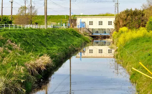 「排水路でのコイ釣りで本命63cm　ノベ竿で強引を堪能【上新宿新田】」の画像