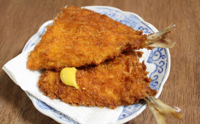 初夏の東京湾『金アジ』が絶品の理由　ノドグロと同等の価格になることも