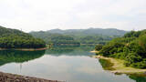 「ヘラブナ釣り回想記：山形県　カワウの食害少なく抜群の魚影が魅力」の画像2