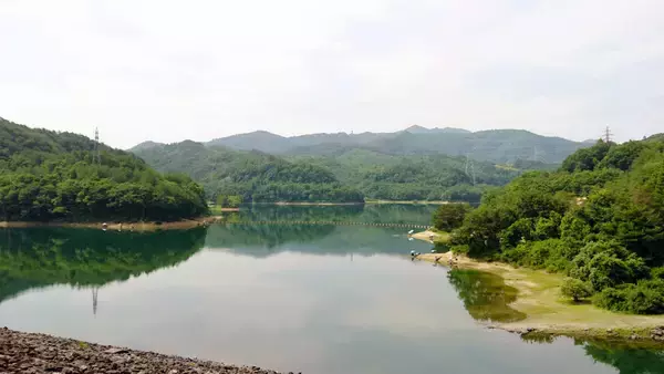 「ヘラブナ釣り回想記：山形県　カワウの食害少なく抜群の魚影が魅力」の画像