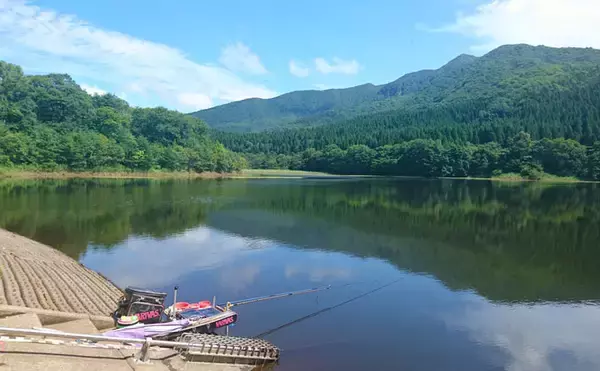 ヘラブナ釣り回想記：山形県　カワウの食害少なく抜群の魚影が魅力