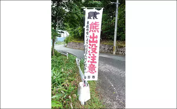 「ヘラブナ釣り回想記：山形県　カワウの食害少なく抜群の魚影が魅力」の画像